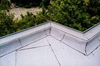 Eine Nahaufnahme eines Daches mit Bäumen im Hintergrund.