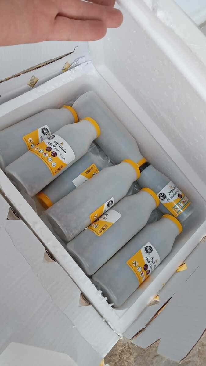 Una persona sostiene una caja llena de botellas de líquido.