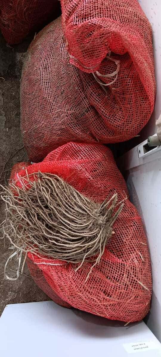 Un montón de bolsas rojas colocadas una encima de otra sobre una mesa.