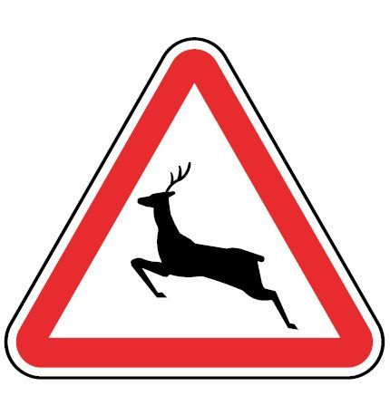 sinalização veados