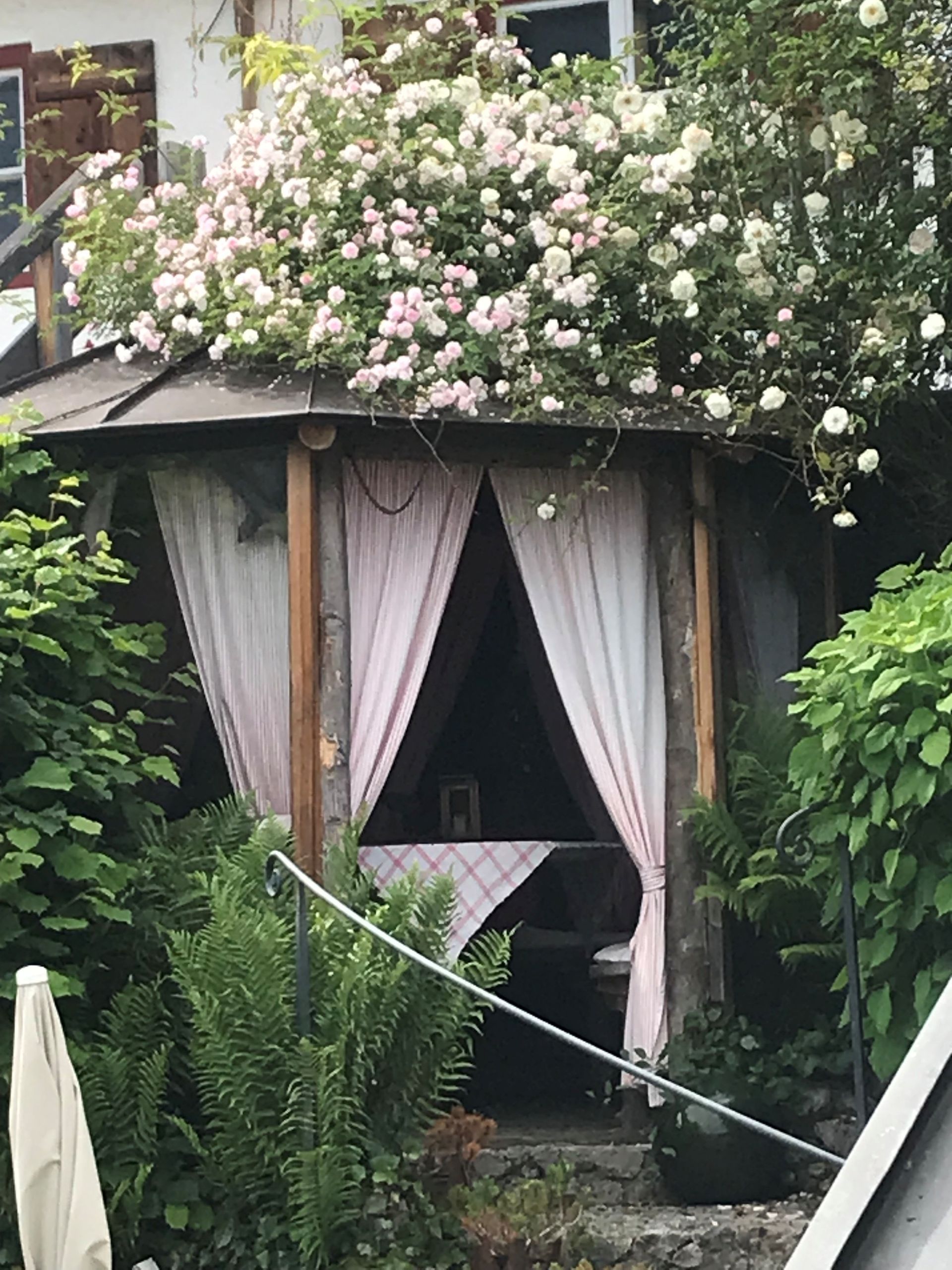 Rosenbewachsener Pavillon mit rosa Vorhängen, im Inneren ein gedeckter Tisch, umgeben von Grün.