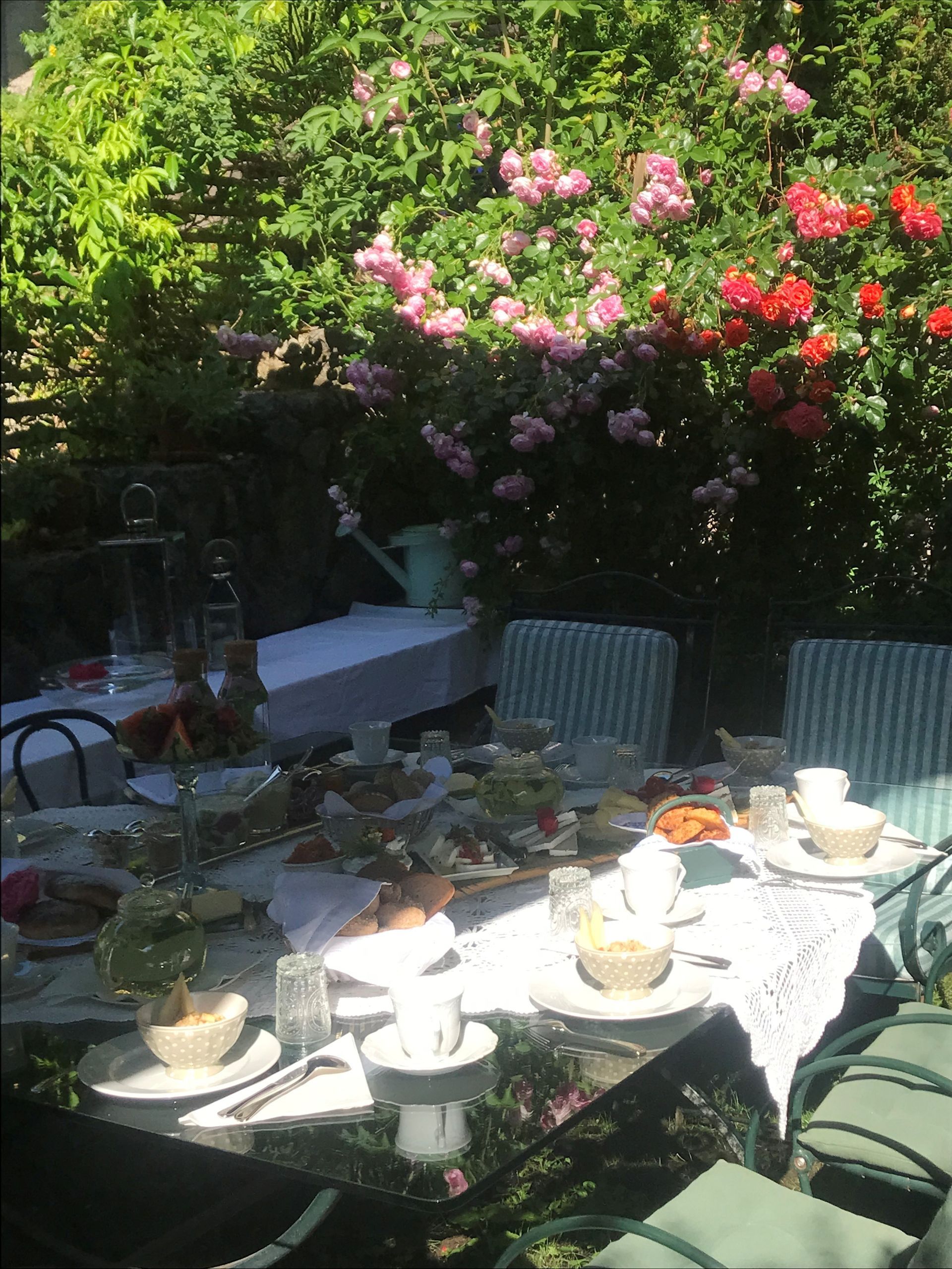 Ein im Freien gedeckter Teetisch, umgeben von blühenden Büschen.