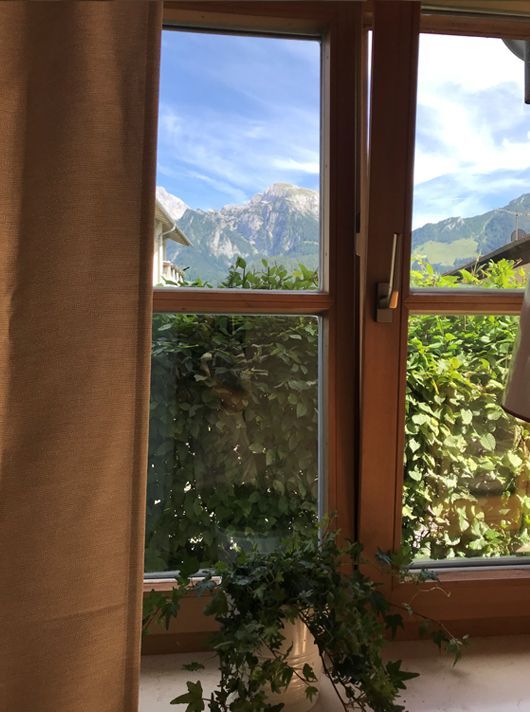 Fensterblick auf Berge und Grün, mit einer Pflanze auf der Fensterbank und einem Vorhang.