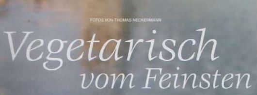 Vegetarisch vom Feinsten, in white script on an abstract background.