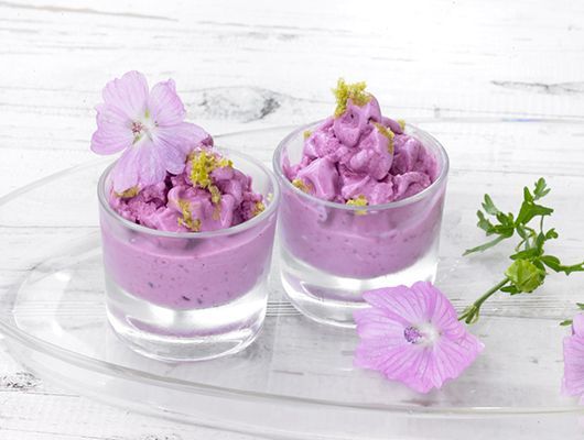 Zwei Gläser mit lila Sauerkirschen-Mousse, garniert mit Hibiskusblüten und Pistazien.