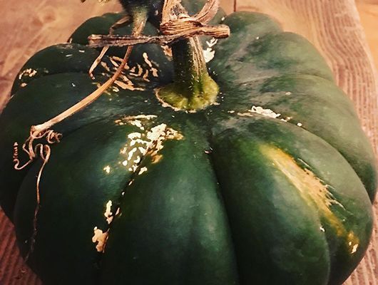 Eichelkürbis, dunkelgrün mit hellen Markierungen, auf einer Holzoberfläche.