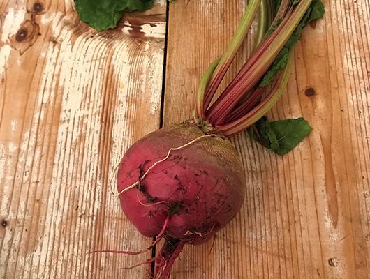 Rote Bete mit roter Wurzel und grünen, rot geäderten Blättern auf einer Holzoberfläche.