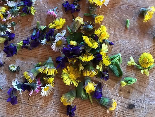 Verstreute Sammlung gelber, violetter und weißer Wildblumen auf einer Holzoberfläche.