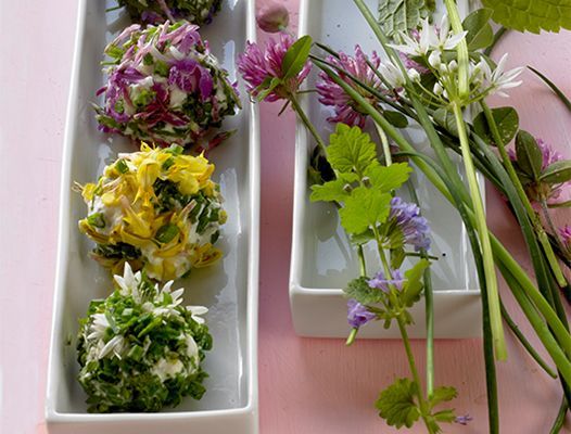 Frischkäsebällchen in weißen Schalen, dekoriert mit bunten Blumen und Kräutern. Rosa Hintergrund.