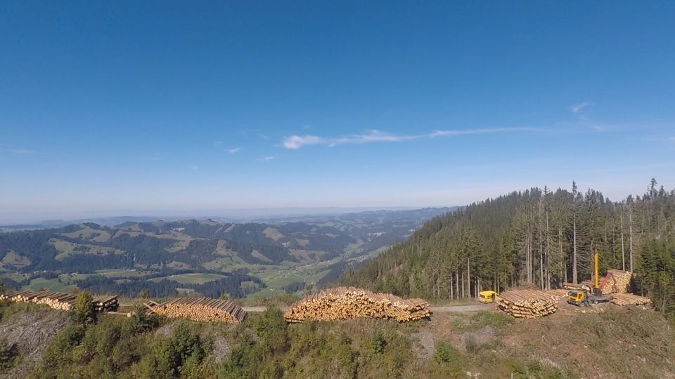 Forstwirtschaft - Baumgartner Forst AG - Marbach