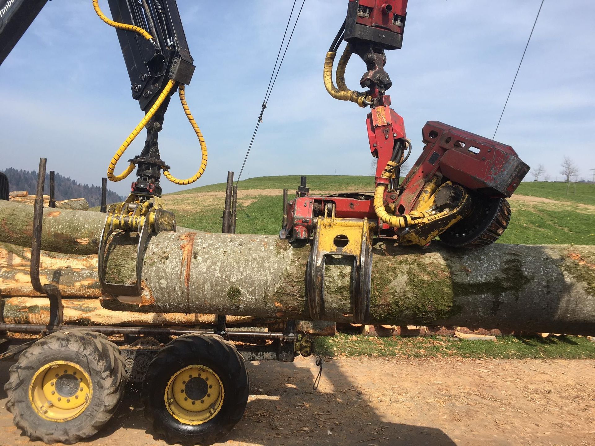 Forstwirtschaft - Baumgartner Forst AG - Marbach