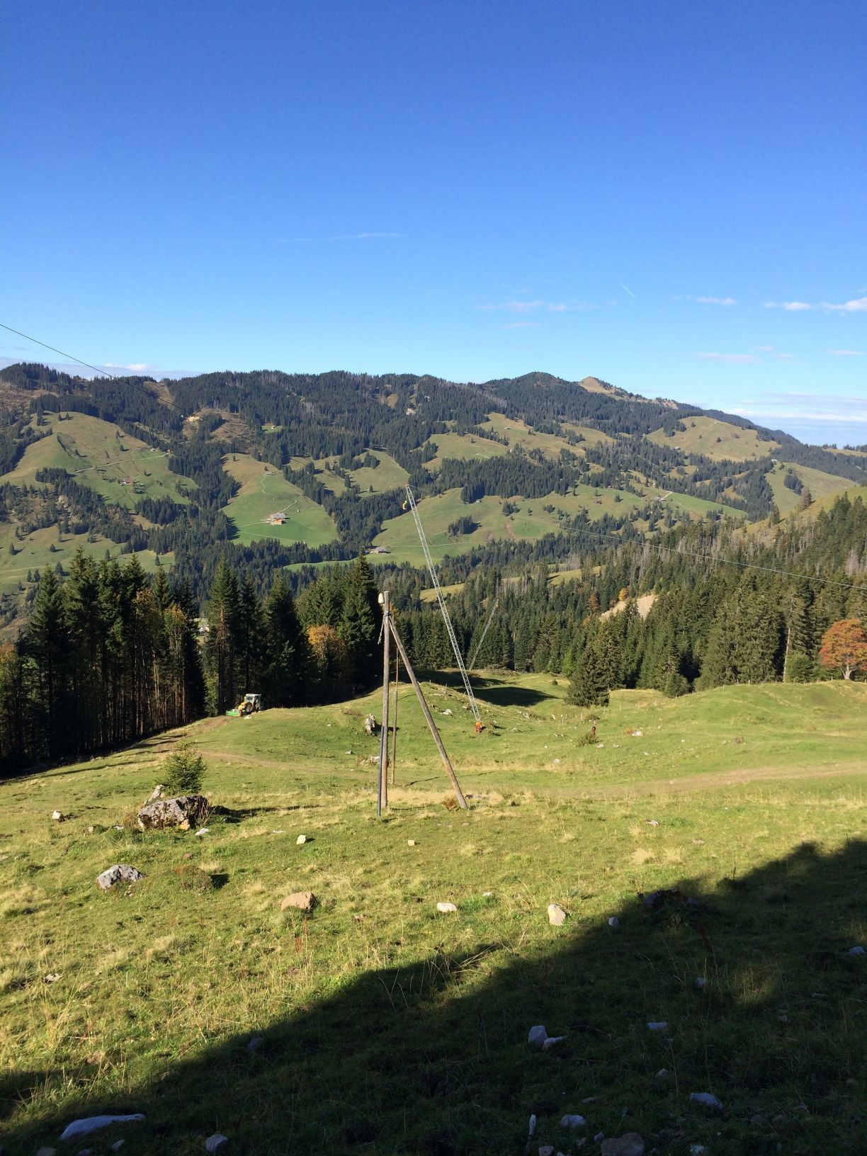 Forstwirtschaft - Baumgartner Forst AG - Marbach