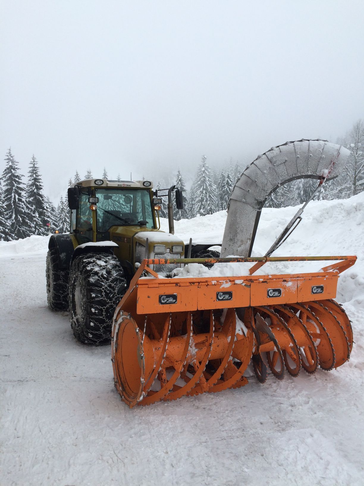 Forstwirtschaft - Baumgartner Forst AG - Marbach