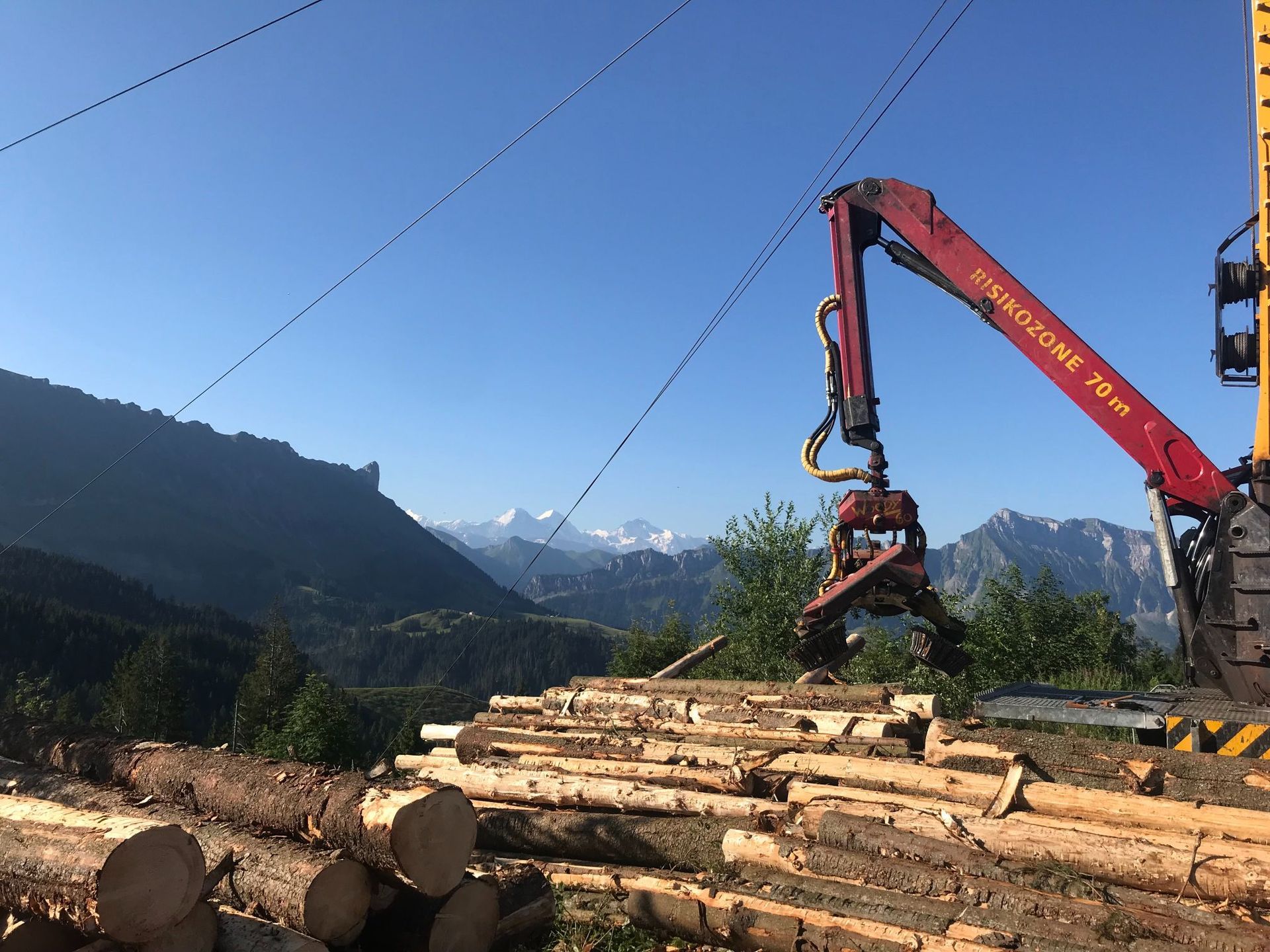 Forstwirtschaft - Baumgartner Forst AG - Marbach