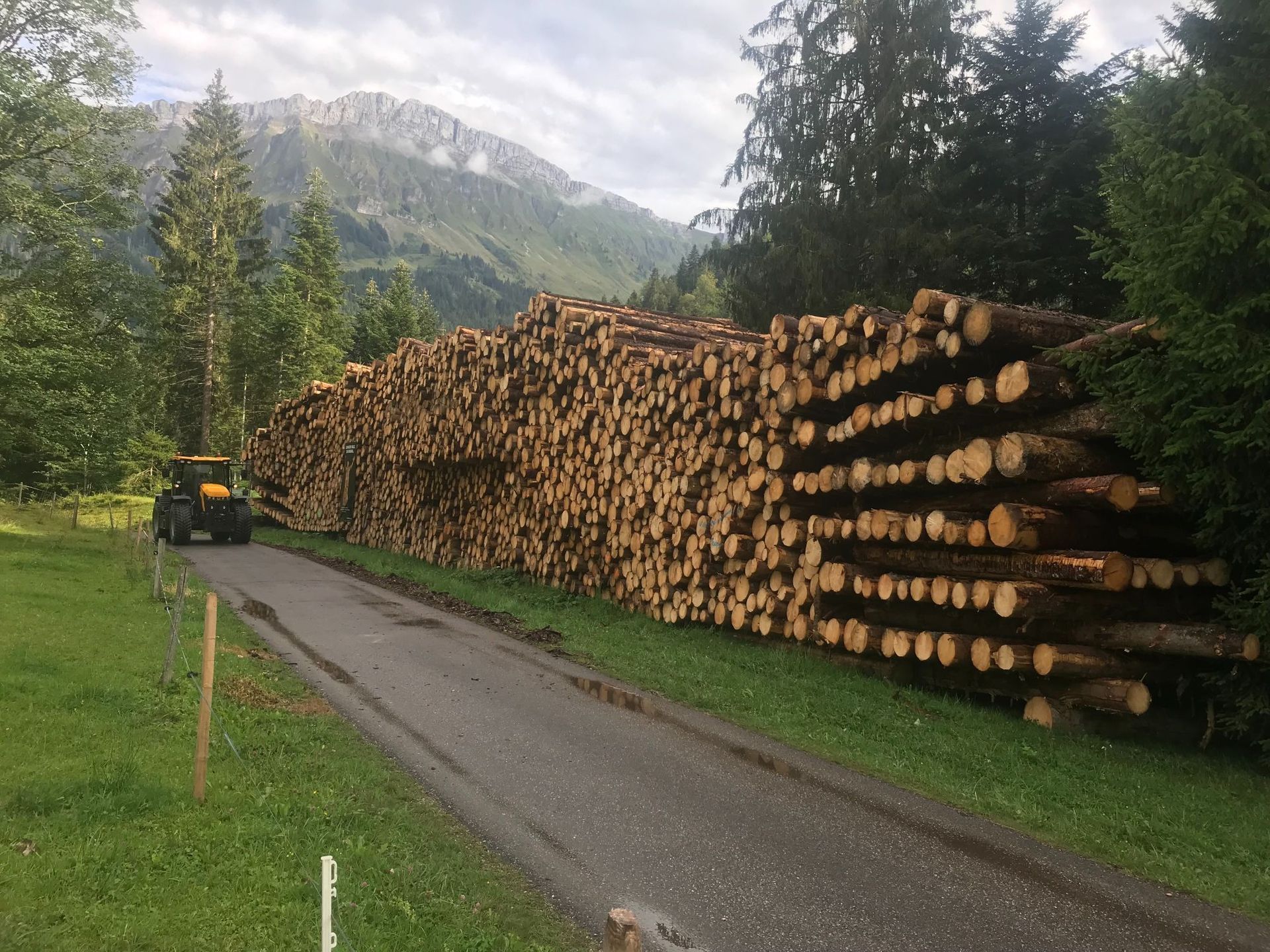 Forstwirtschaft - Baumgartner Forst AG - Marbach