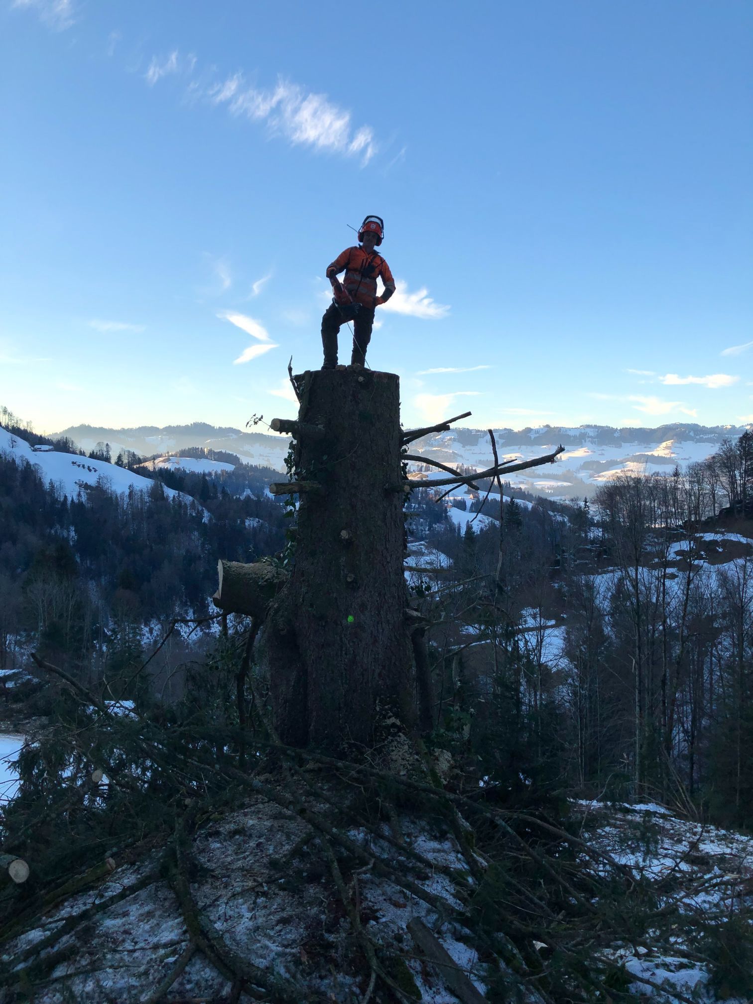 Forstwirtschaft - Baumgartner Forst AG - Marbach