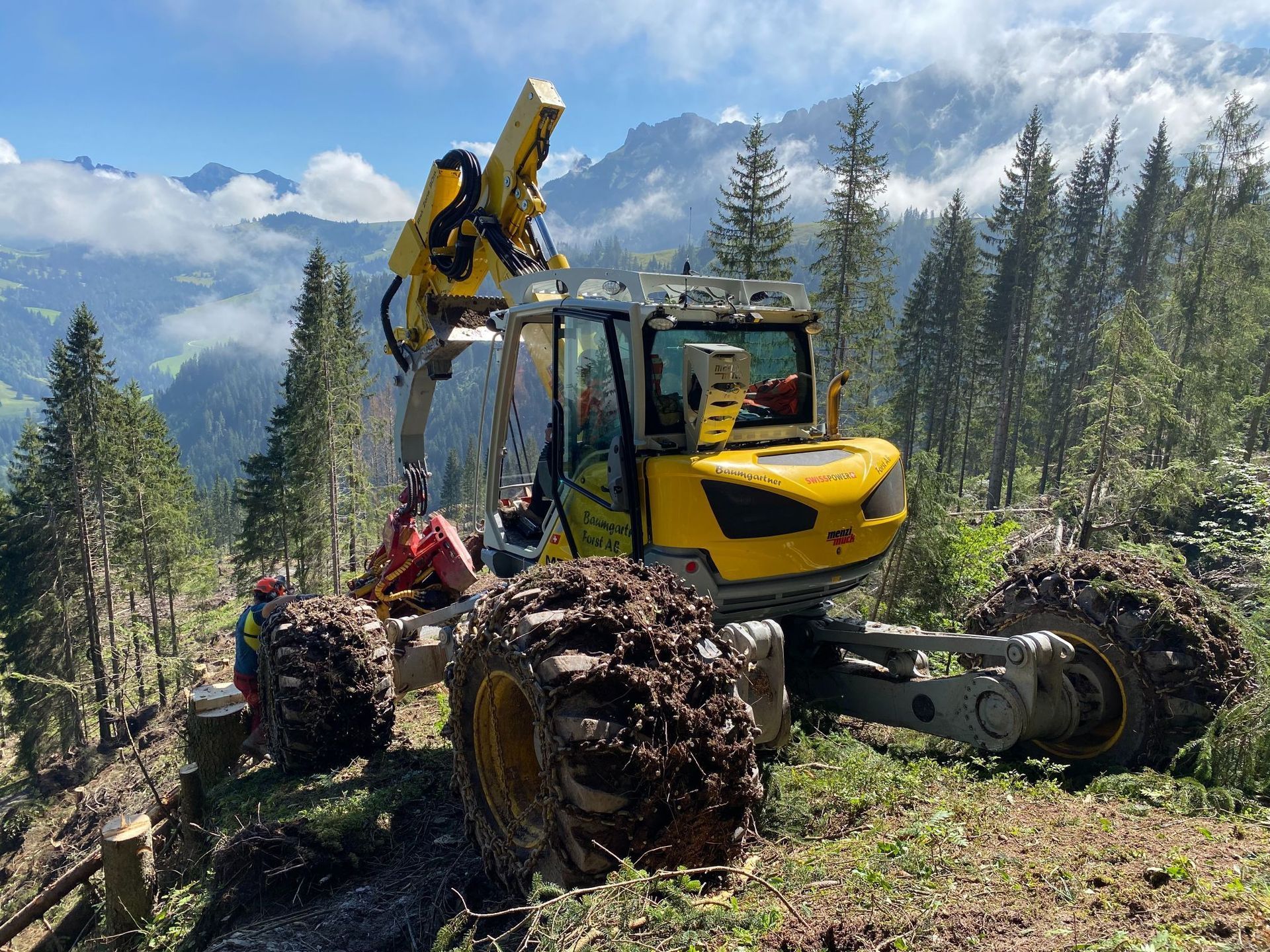Forstwirtschaft - Baumgartner Forst AG - Marbach