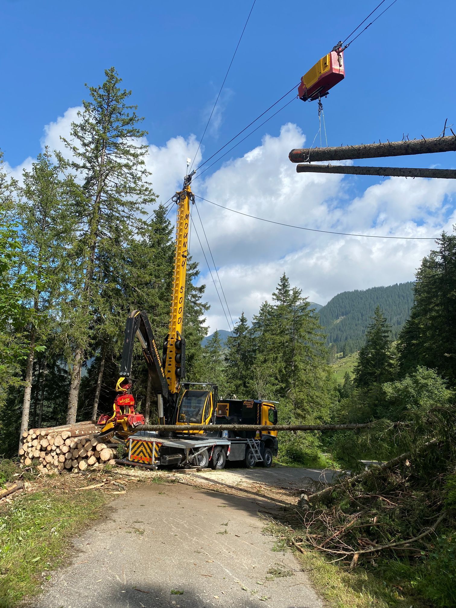 Forstwirtschaft - Baumgartner Forst AG - Marbach