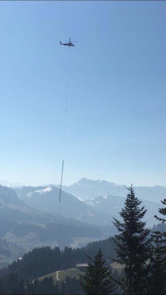 Forstwirtschaft - Baumgartner Forst AG - Marbach