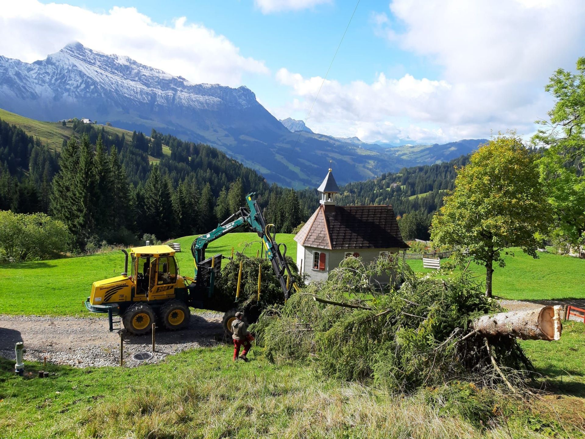 Forstwirtschaft - Baumgartner Forst AG - Marbach