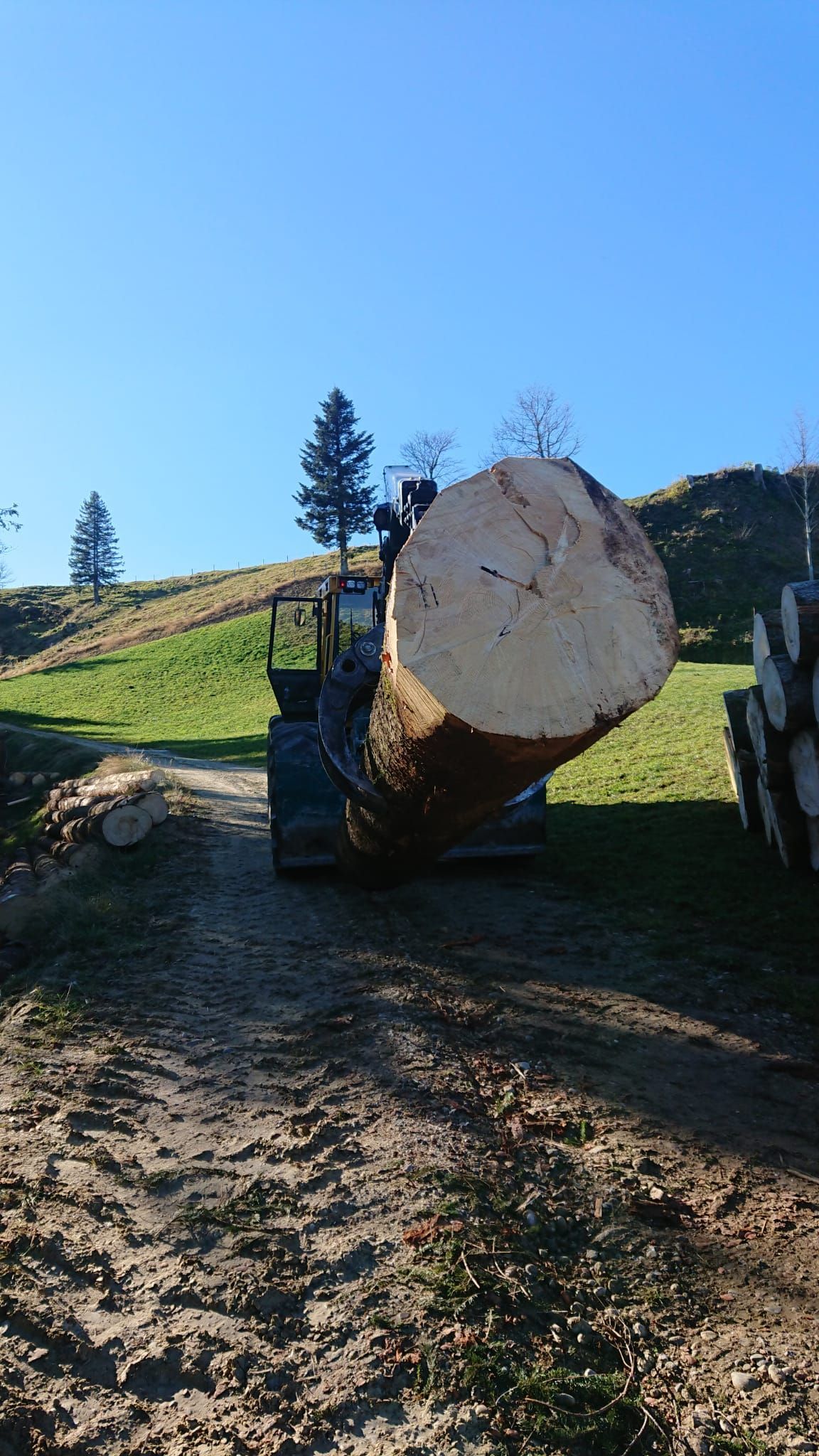 Forstwirtschaft - Baumgartner Forst AG - Marbach