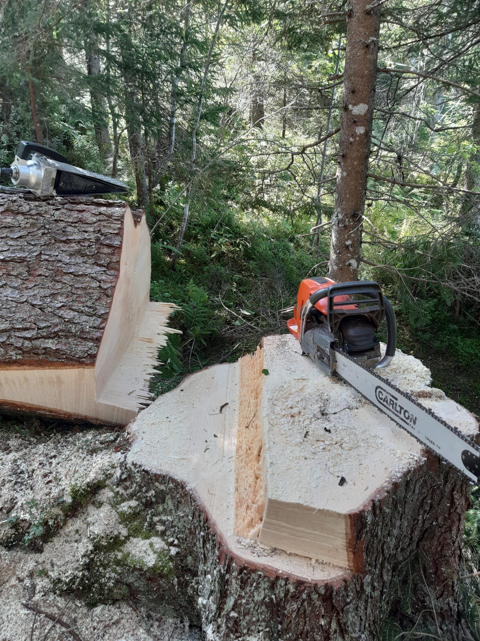 Forstwirtschaft - Baumgartner Forst AG - Marbach