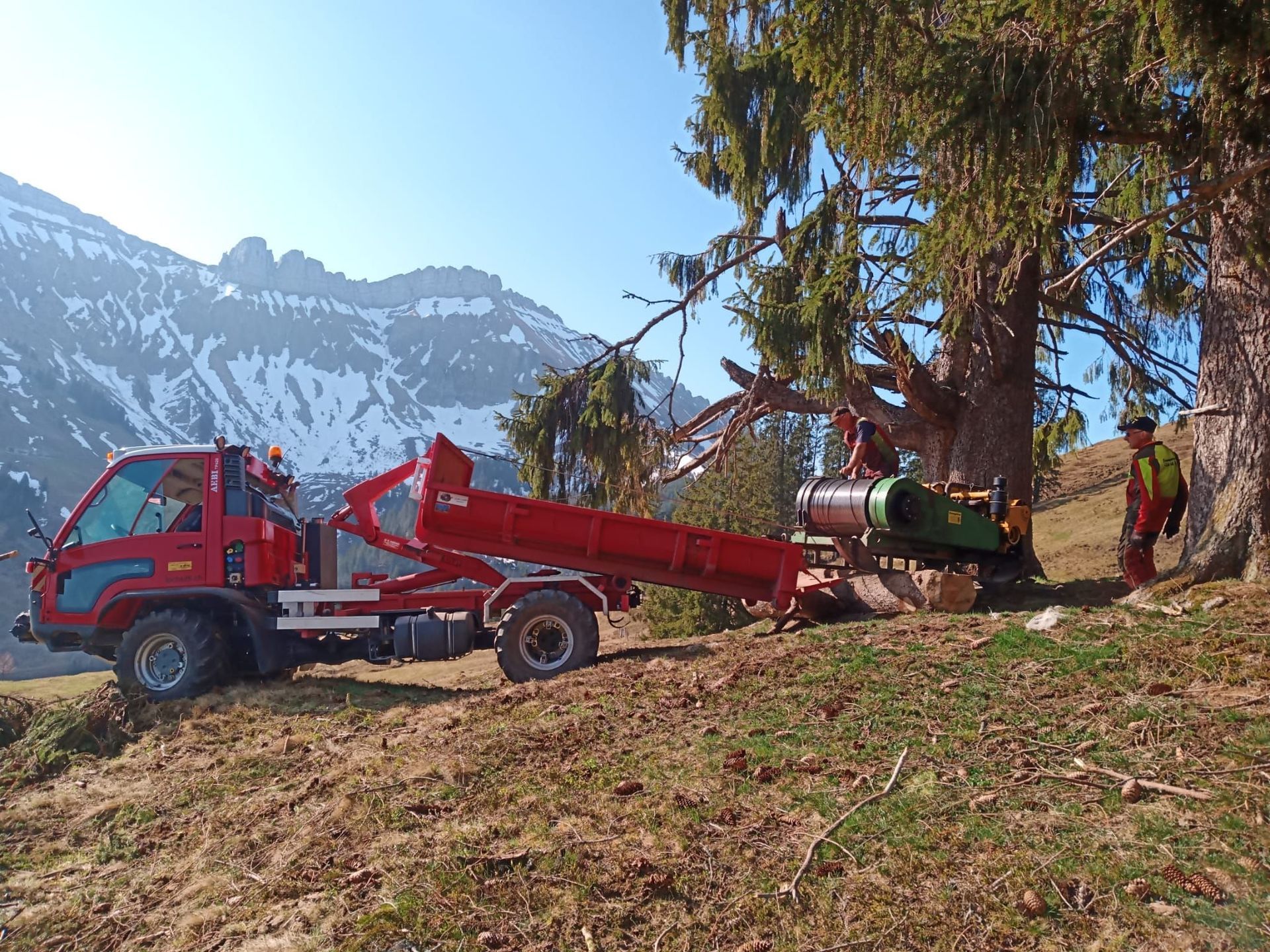 Forstwirtschaft - Baumgartner Forst AG - Marbach