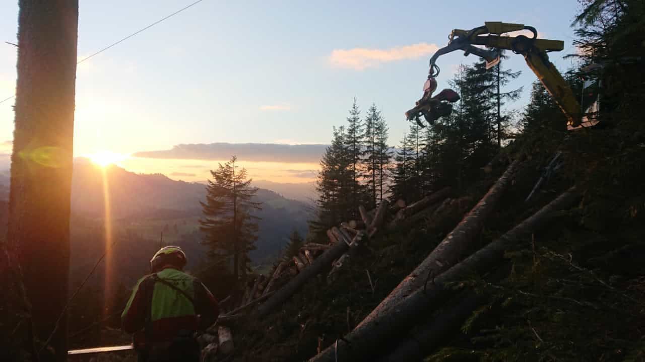 Forstwirtschaft - Baumgartner Forst AG - Marbach