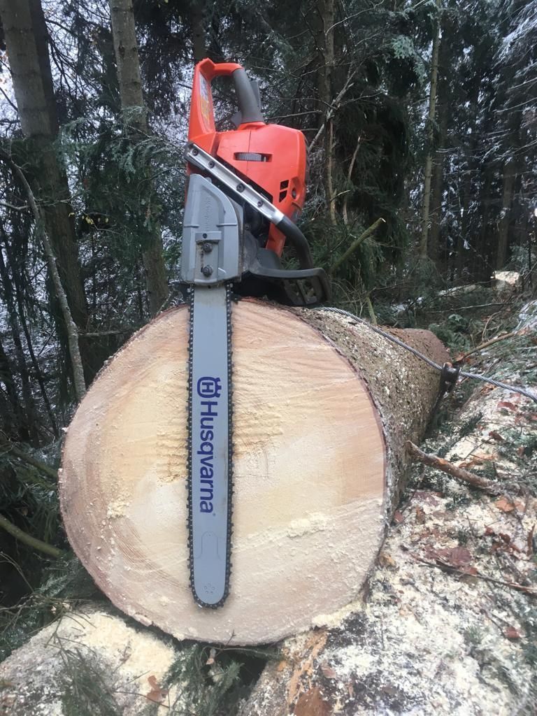 Forstwirtschaft - Baumgartner Forst AG - Marbach