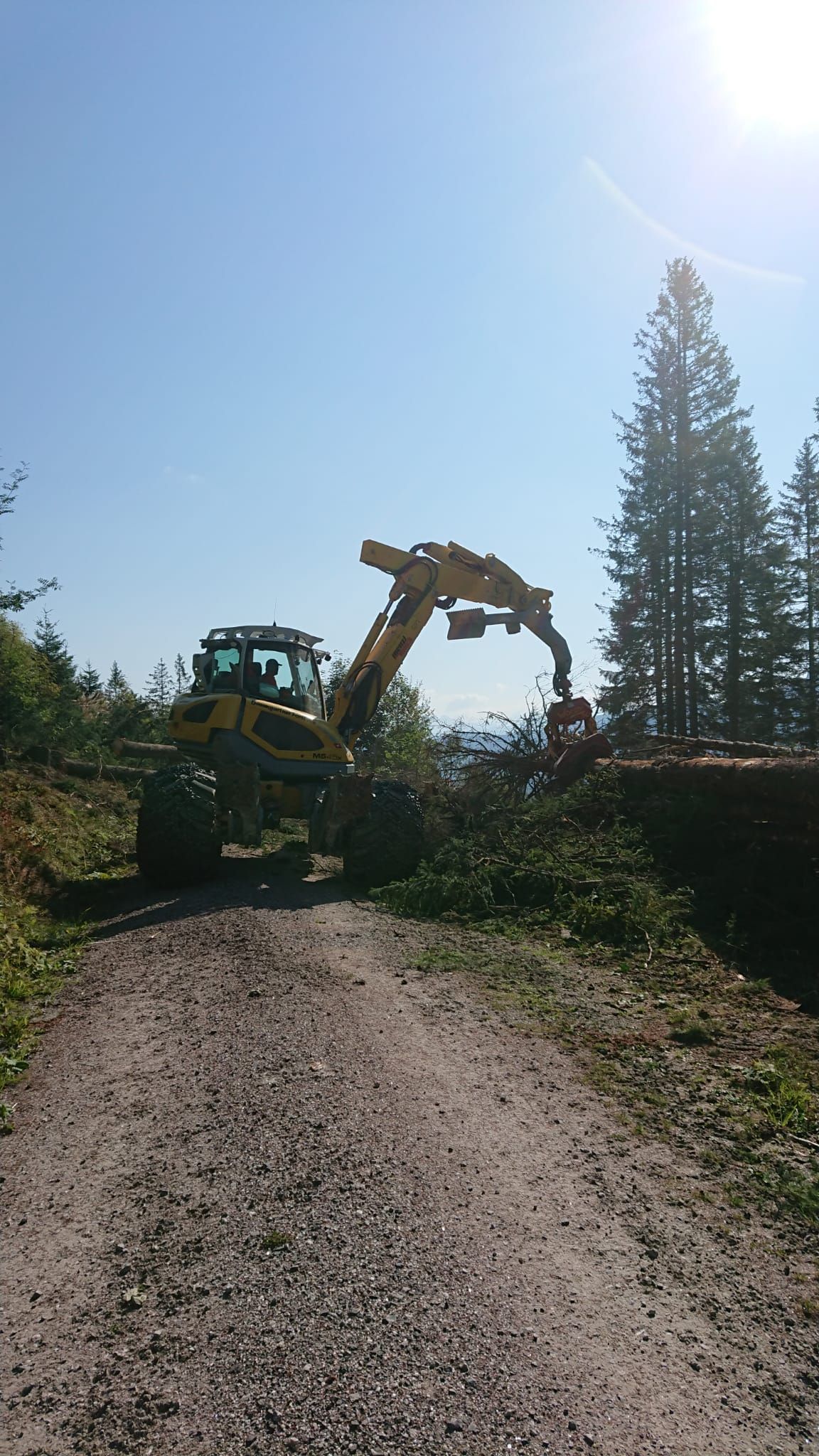 Forstwirtschaft - Baumgartner Forst AG - Marbach