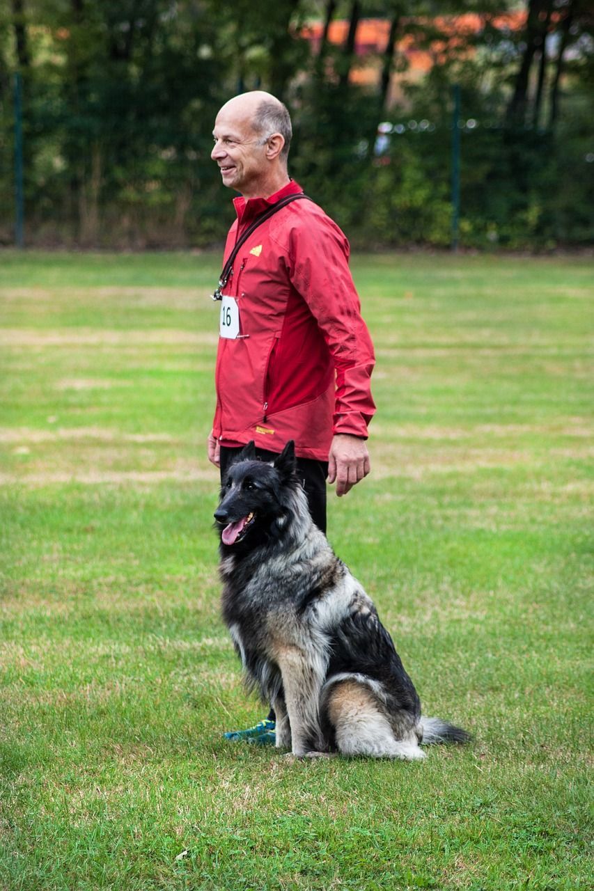 Schüler Hundeschule