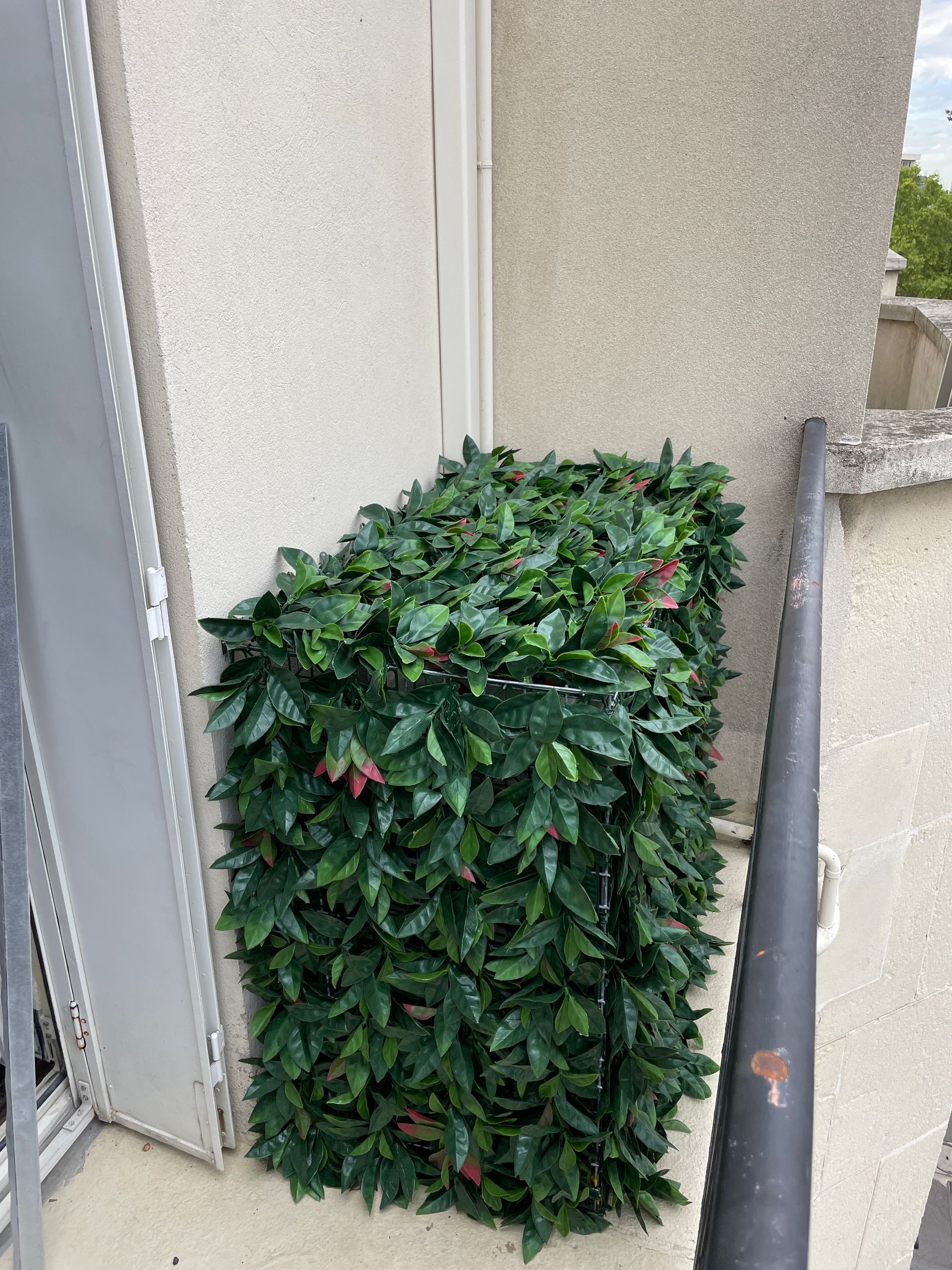 Climatisation extérieure camouflée par des feuilles