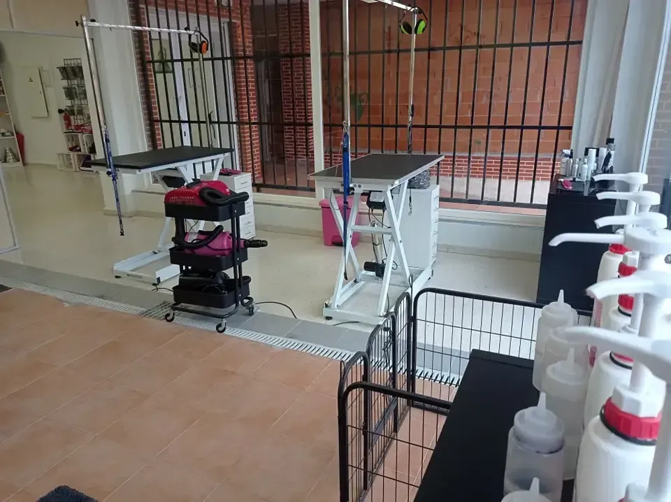 Interior de tienda de peluquería canina con dos mesas de peluquería, carrito de suministros.