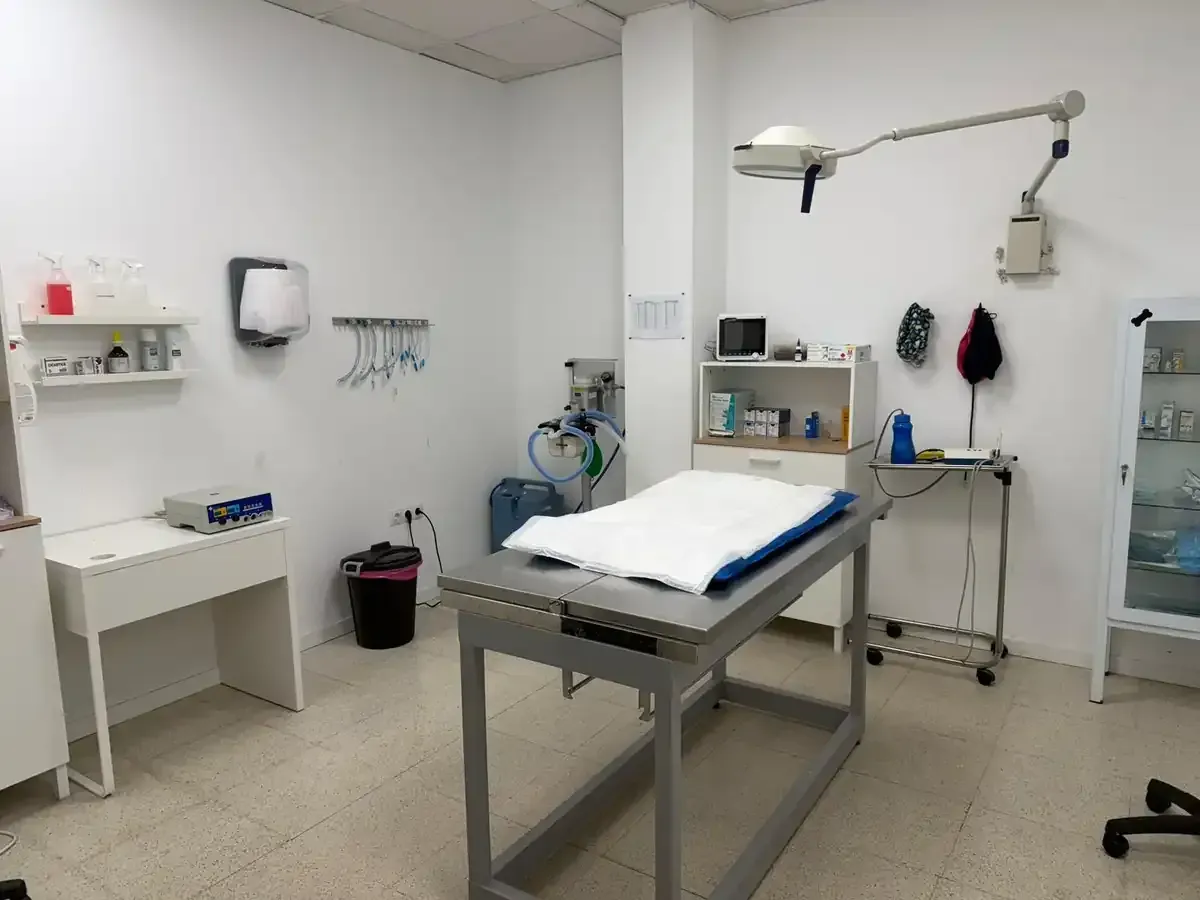 Sala de exploración veterinaria con mesa, fregadero y armarios de acero inoxidable.