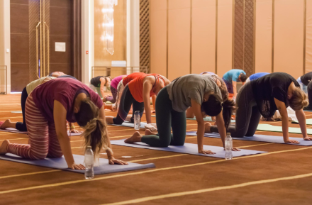 Un grupo de personas está haciendo yoga en una habitación.