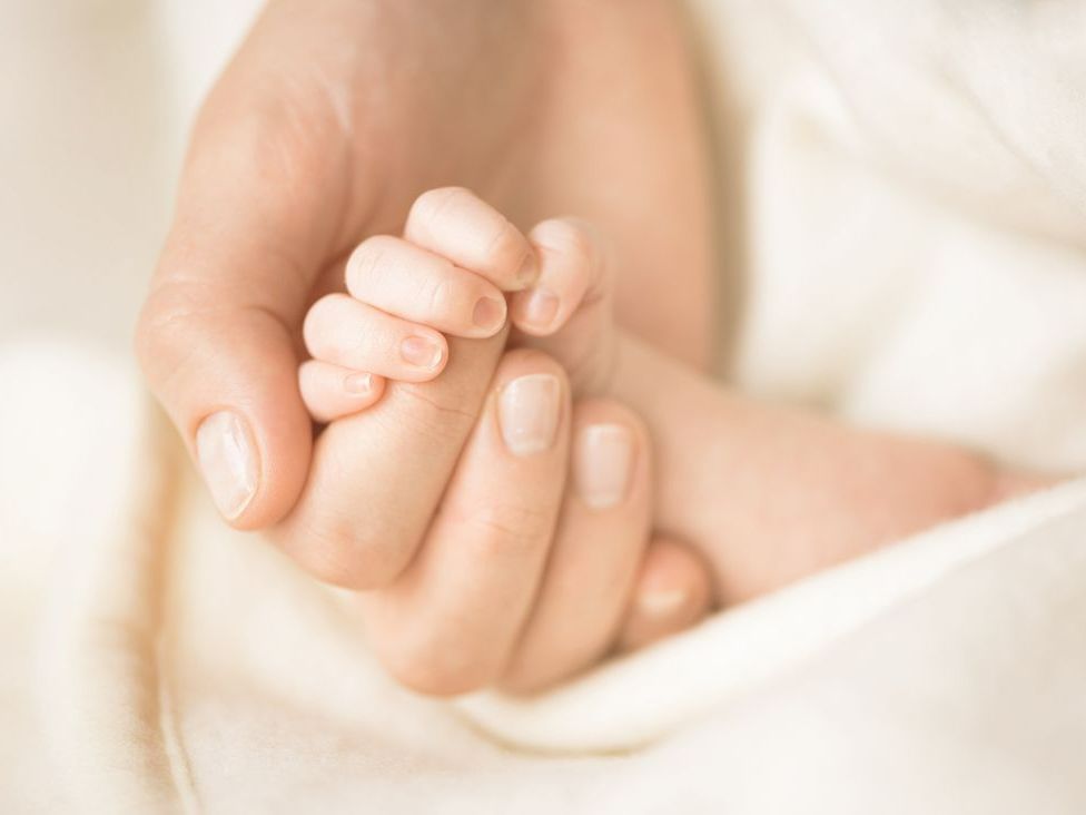 Une main de bébé dans une main d'adulte