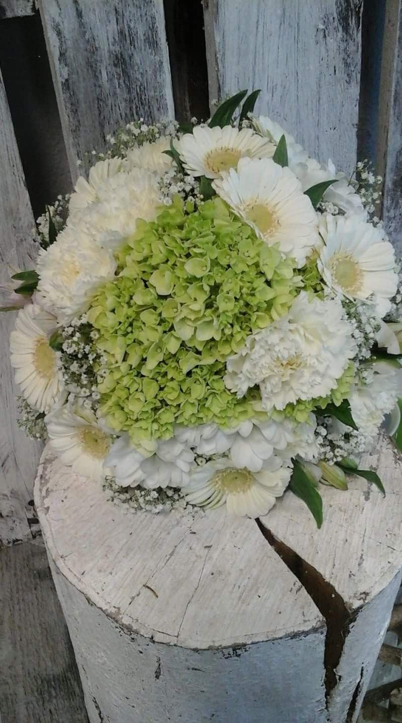 grüne Pflanzen und weiße Blumen