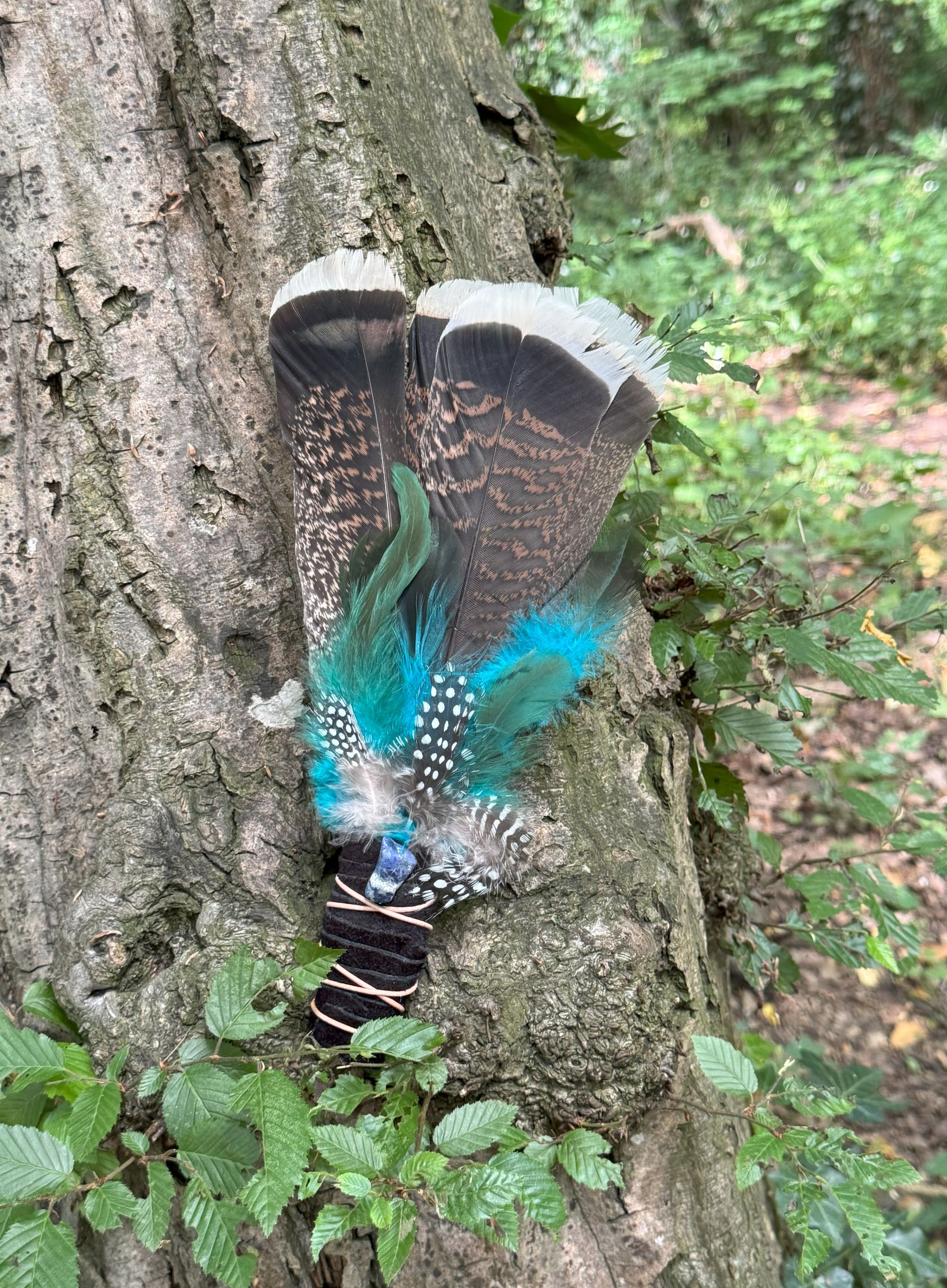 A feather is sitting on a tree trunk in the woods.