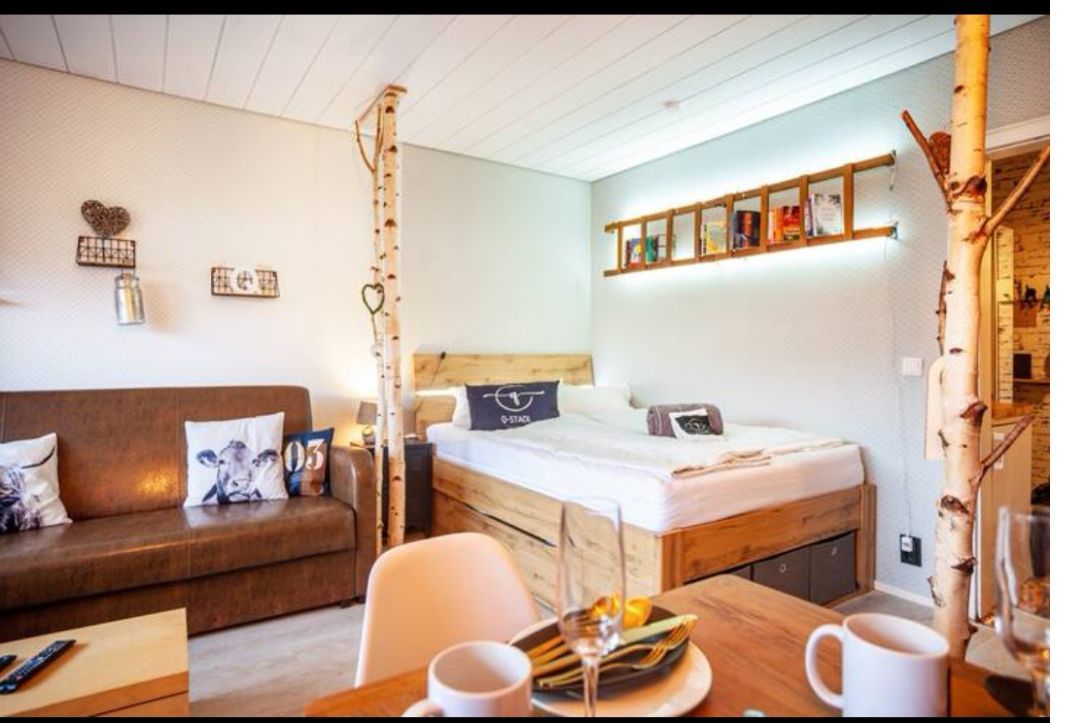 Clevere Raumaufteilung im Studio-Appartement Q-Stadl Oberstaufen