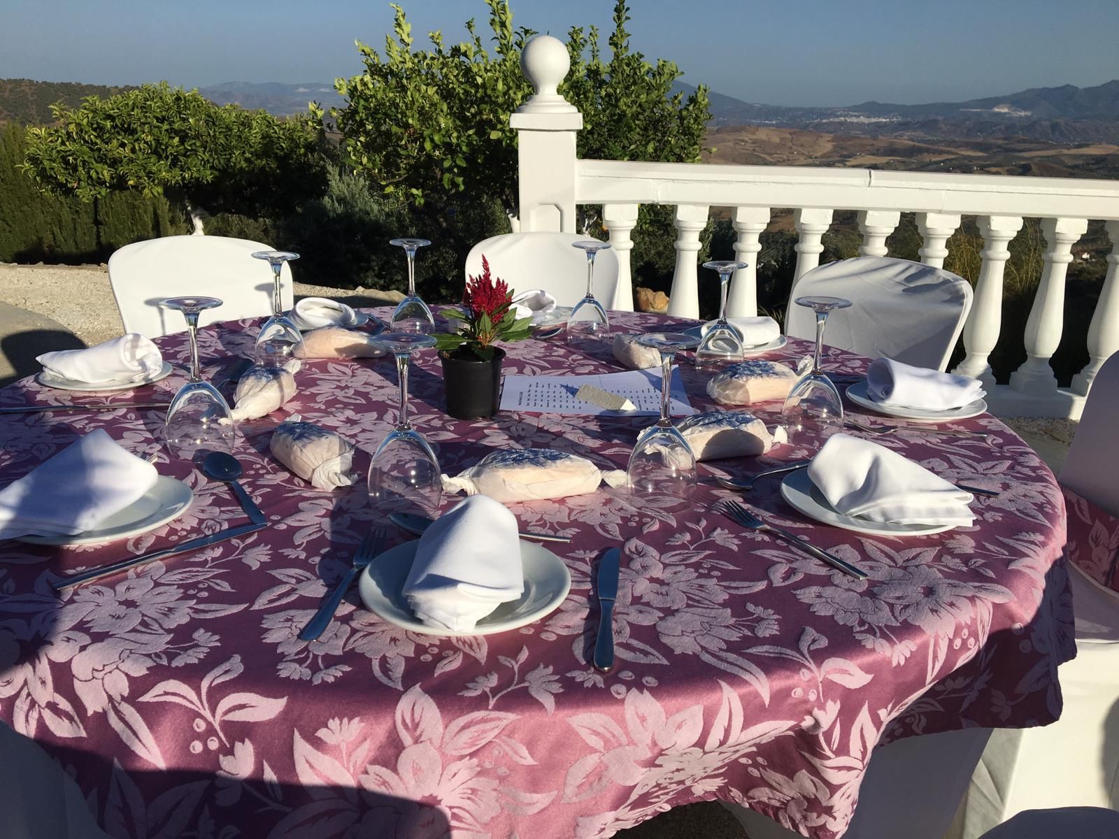Disfruta de nuestra terraza
