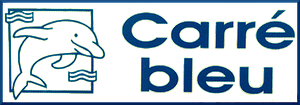 Logo Carré Bleu