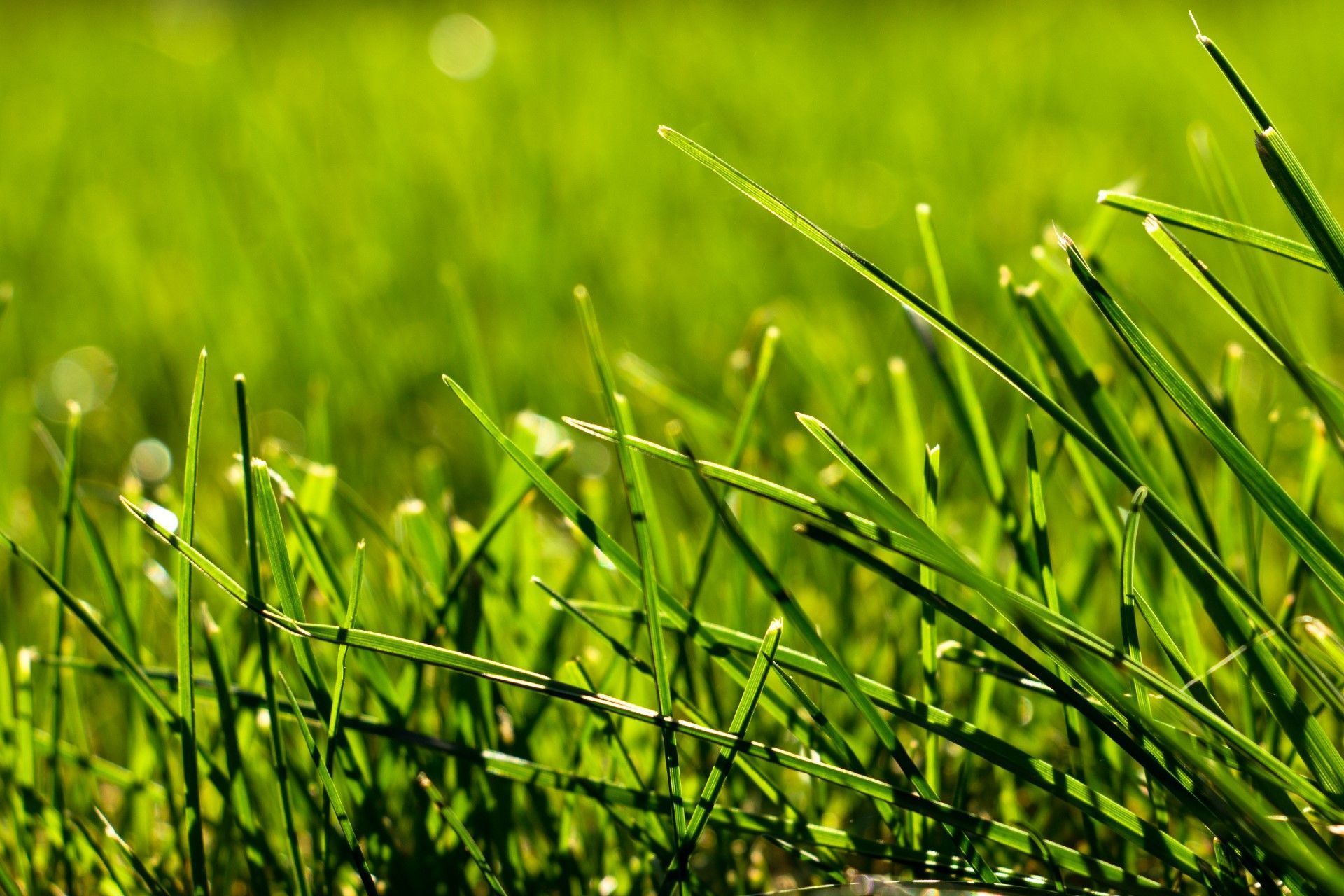 Ziltener & Partner Gartenbau AG | Winterthur