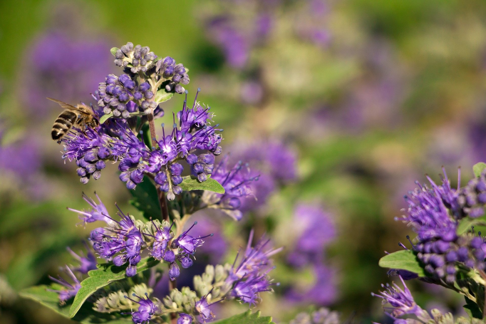 Ziltener & Partner Gartenbau AG | Winterthur