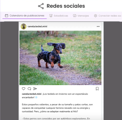 Gestión de Redes Sociales