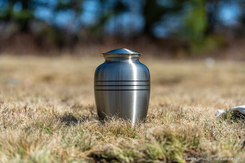Urne aus gebürstetem Metall auf trockenem Gras vor verschwommenem Hintergrund aus Bäumen und Himmel.