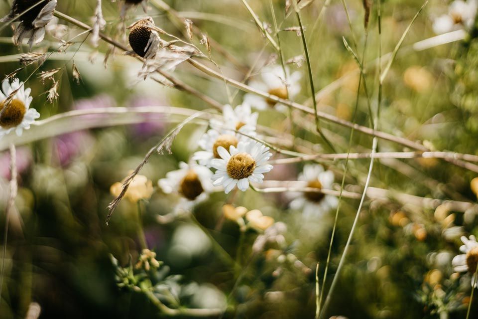 Zahner Garten- und Landschaftsbau GmbH