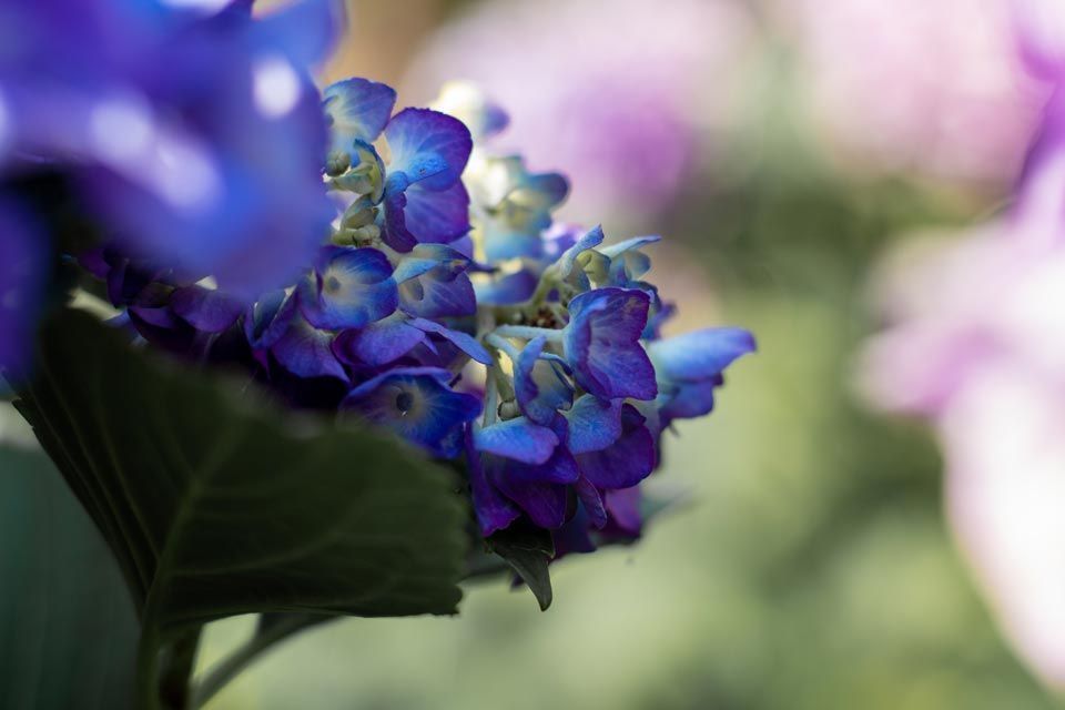 Zahner Garten- und Landschaftsbau GmbH