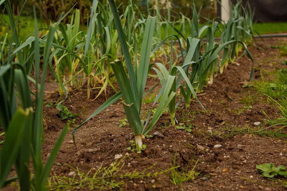 Zahner Garten- und Landschaftsbau GmbH