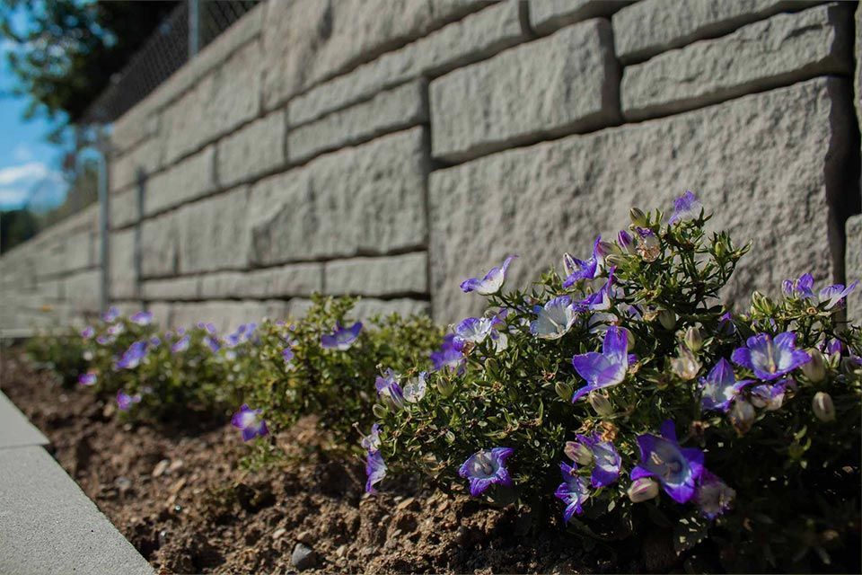 Zahner Garten- und Landschaftsbau GmbH