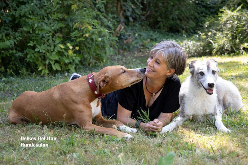 Hundesalon Helke Bell Hair - Foto Studio Maria Schäfer